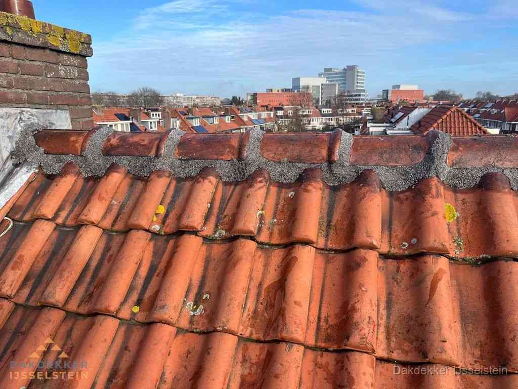 Nieuw bitumen plat dak met uitzicht over woonwijk in IJsselstein