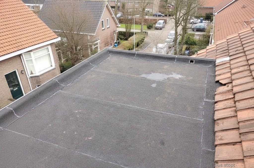 Dakdekker In Najaar Ijsselstein