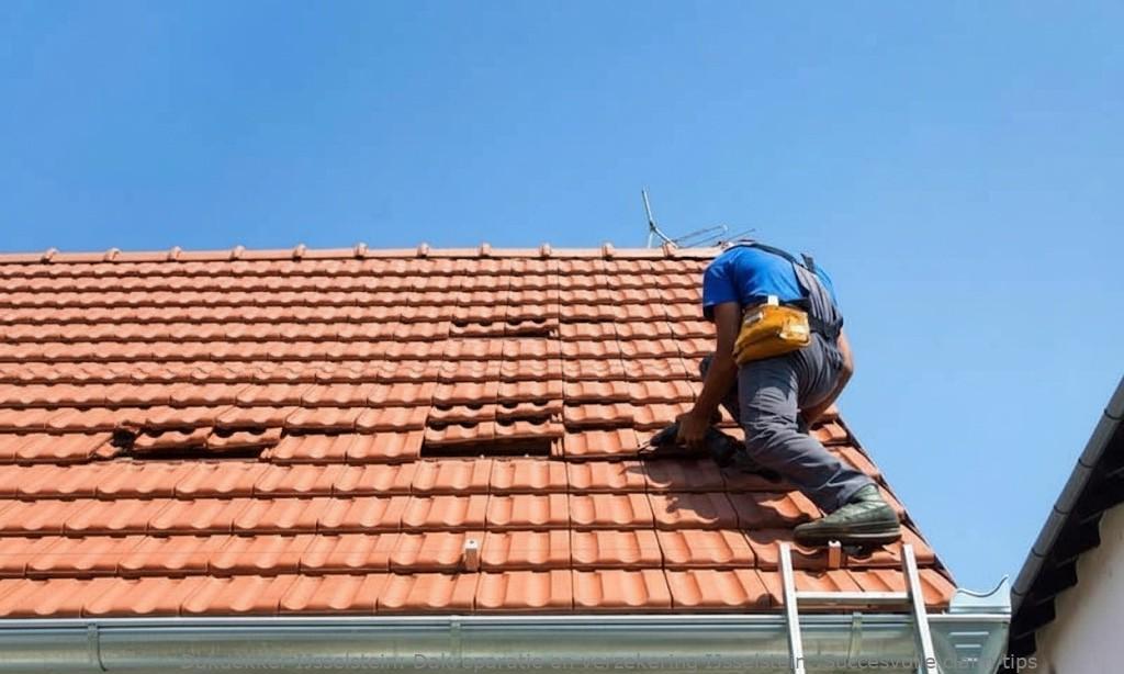 Dakreparatie En Verzekering Ijsselstein