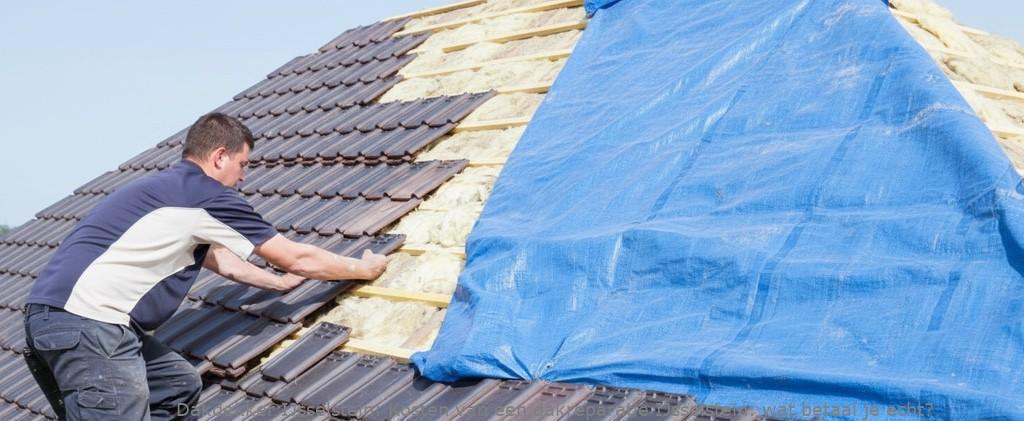 Kosten Van Een Dakreparatie Ijsselstein