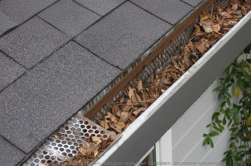 Repareren Dakgoot Ijsselstein